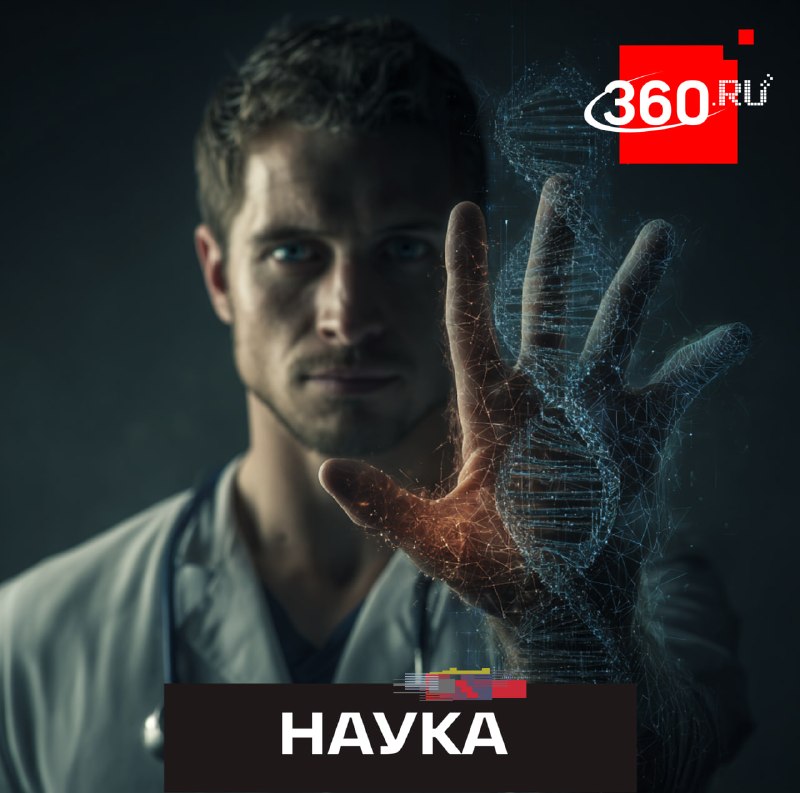 Ученые нашли способ стимулировать регенерацию тканей у людей через активацию генов