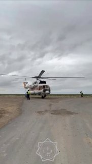 В Казахстане с помощью вертолёта спасли ягнёнка, застрявшего в болоте