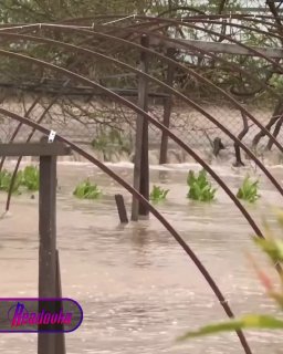 На Кубани из-за ливней оказались подтоплены свыше сотни участков