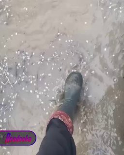 Иллюстрация 1