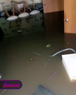 Иллюстрация 2