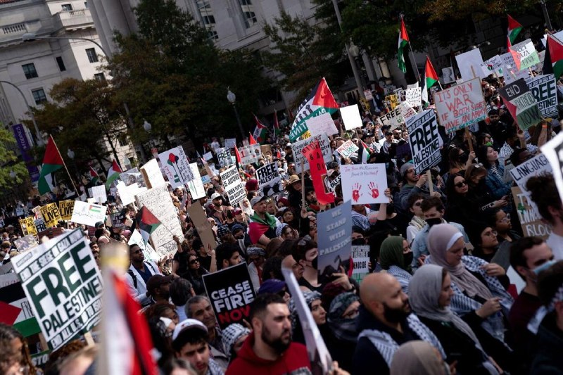 Власти США смогут отказывать в грин-карте участникам пропалестинских акций