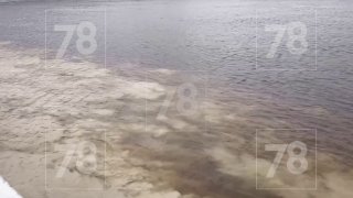 В Неву в районе Большого Обуховского моста течёт химическая жижа
