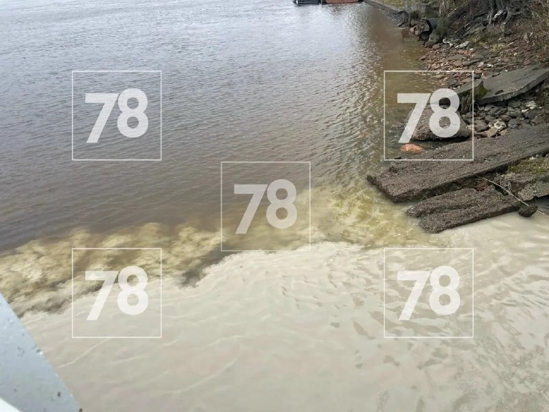 Иллюстрация 3