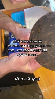 Мужчина целый год хранил лепёшку пуэра, приняв её за сухое говно