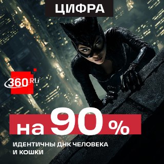 Человек и кошка оказались близкими генетическими родственниками