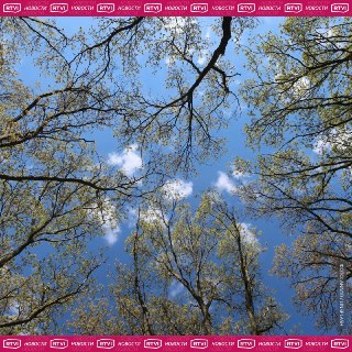 Прогноз погоды в мире на 26 апреля