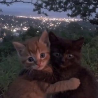 Сегодня отмечается День «Обними друга»