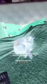 Иллюстрация 1