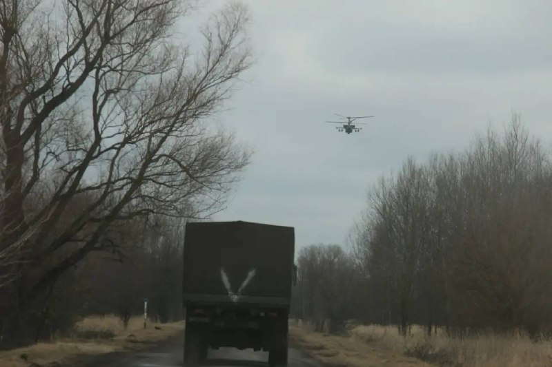 Иллюстрация 1