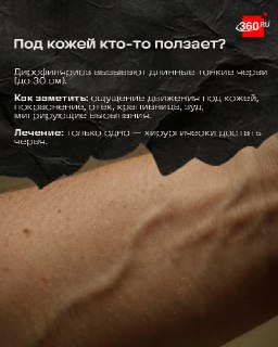 Иллюстрация 3