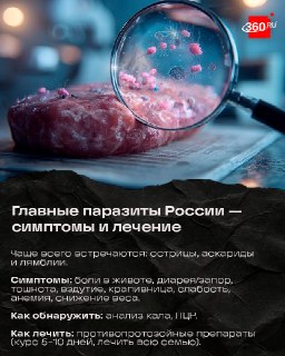 Иллюстрация 5