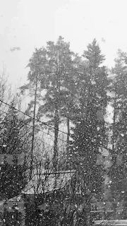 В Петербурге и области из-за метели ухудшилась видимость на дорогах