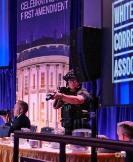 Иллюстрация 10