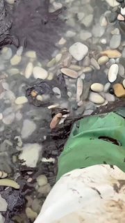 Иллюстрация 1