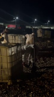 Иллюстрация 3