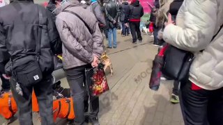 Иллюстрация 1