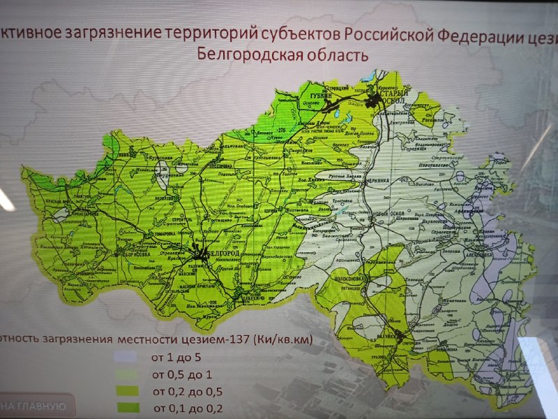 Иллюстрация 8