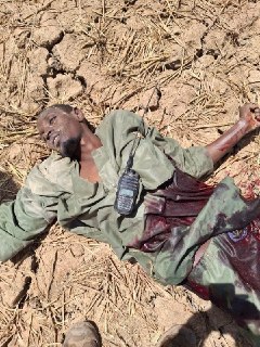 Иллюстрация 6