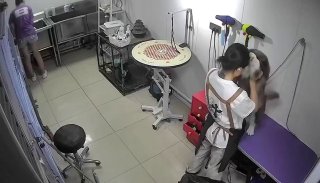 Грумершу поймали на месте ужасного преступления — женщина тайком лапала животик клиента