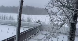 В московском регионе за сутки выпала половина месячной нормы осадков