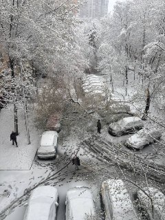 Иллюстрация 2