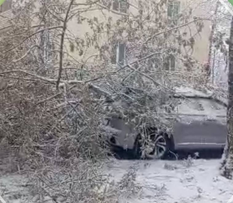 Иллюстрация 3