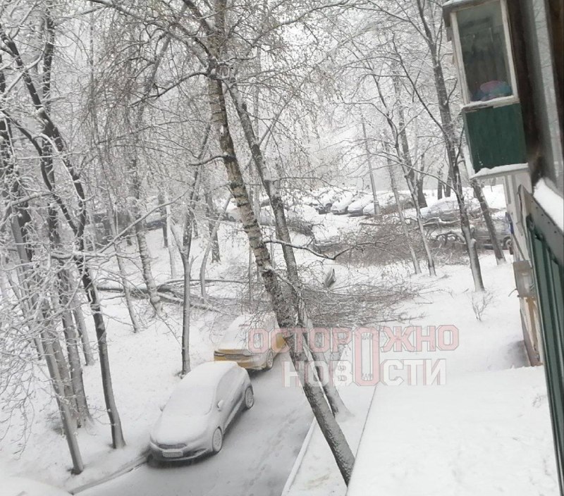 Иллюстрация 3