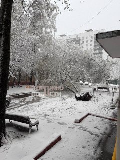 Иллюстрация 4