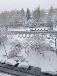 Иллюстрация 3