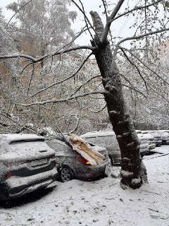 Иллюстрация 1