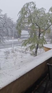 Иллюстрация 1