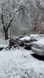 Снегопад и деревопад в столичном регионе