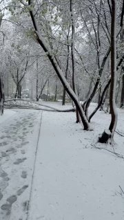 Иллюстрация 1