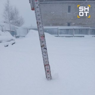 Иллюстрация 3