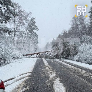 Иллюстрация 4