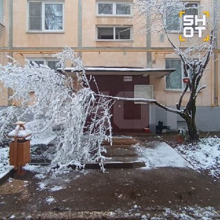 Иллюстрация 5