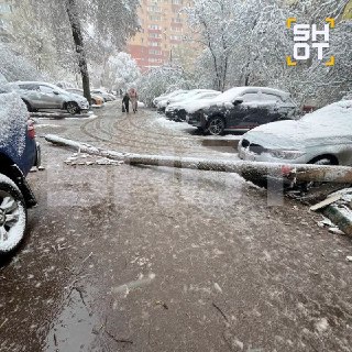 Иллюстрация 6