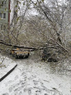 Иллюстрация 2