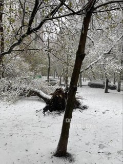 Иллюстрация 3