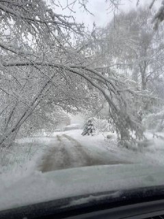 В Москве ограничили аренду каршеринга с летней резиной из-за снегопада