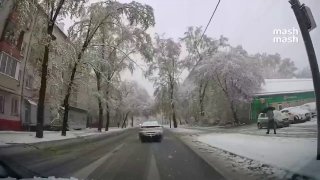 В Москве из-за снегопада упавшие деревья травмировали четырех человек