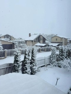 Иллюстрация 2