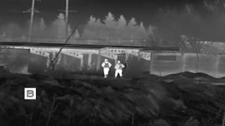 Иллюстрация 1