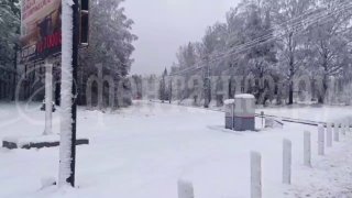 Дерево рухнуло на ж/д пути в Петербурге, задерживая движение электричек