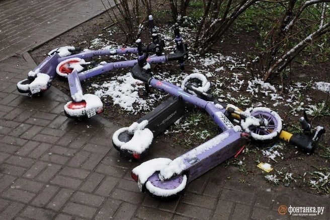 Иллюстрация 4