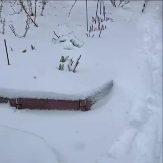 Иллюстрация 1