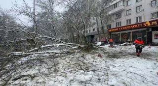 Иллюстрация 2