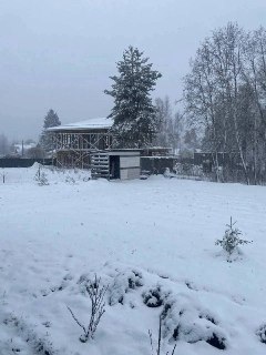 В Ленобласть снова пришла зима