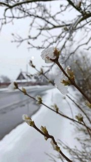 Иллюстрация 3